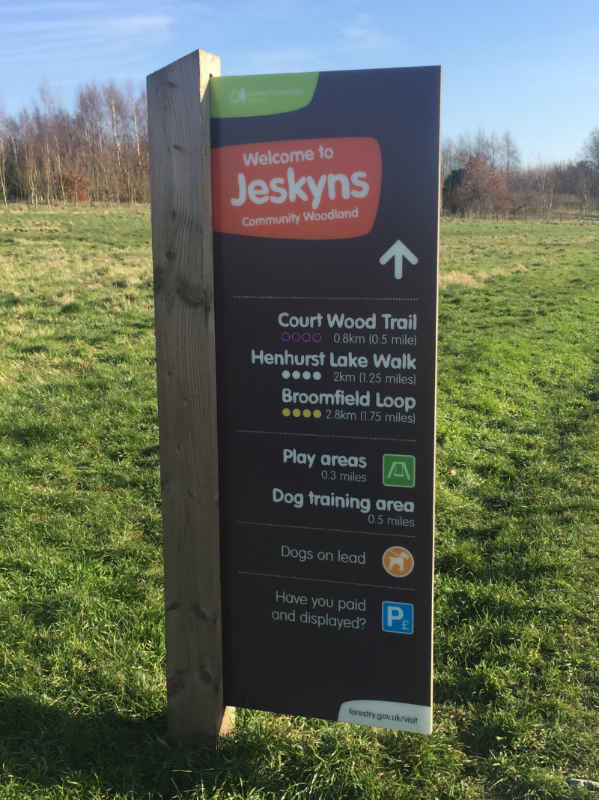 Walk and Talk Counselling in Gravesend